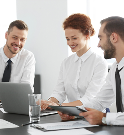 Professional consultants